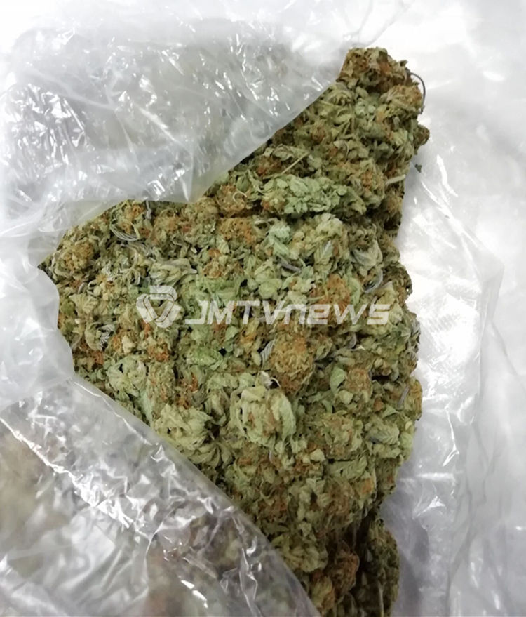 防疫也防毒!江门海关查获邮递渠道走私毒品进境案