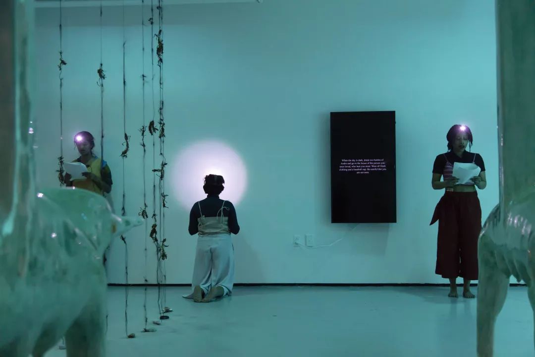一个策展人如何游览Frieze LA
