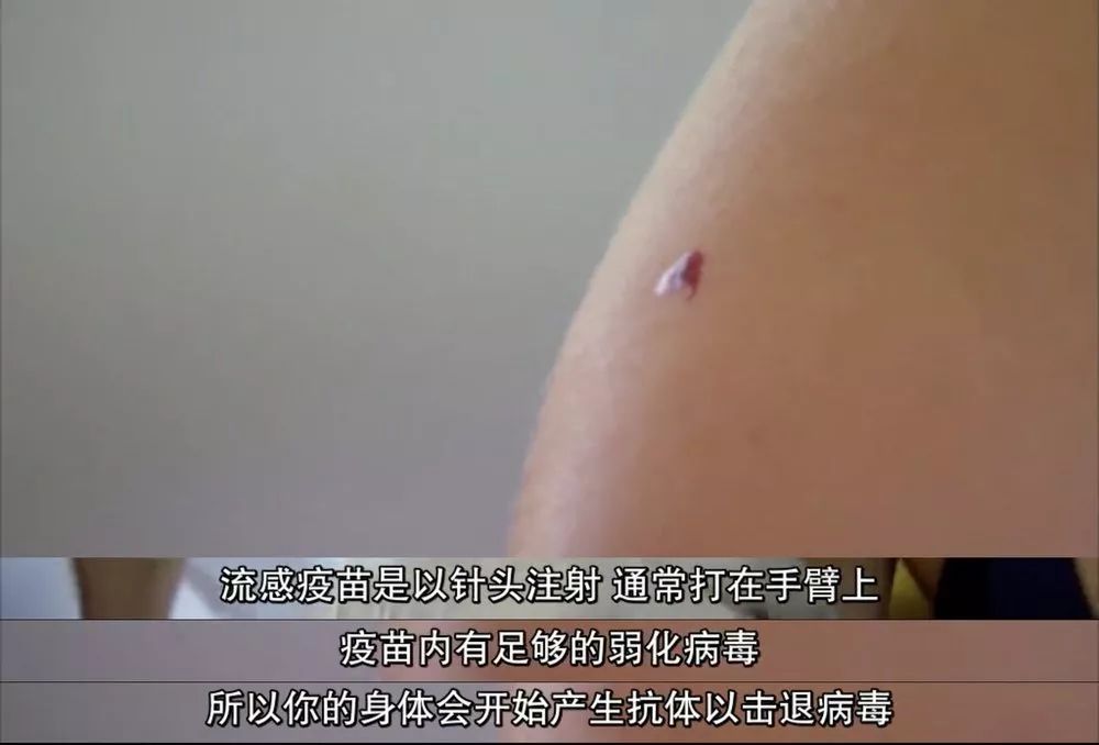 9.4分的保命剧,我恨不得安利给每个人 9.4分的保命剧,我恨不得安利给每个人