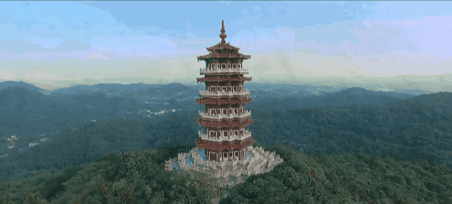 1581897069690042.gif