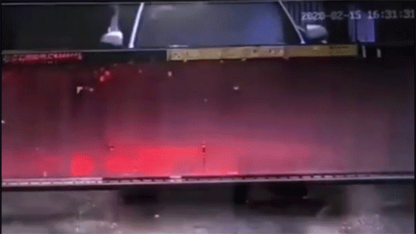 上海闵行警方 供图