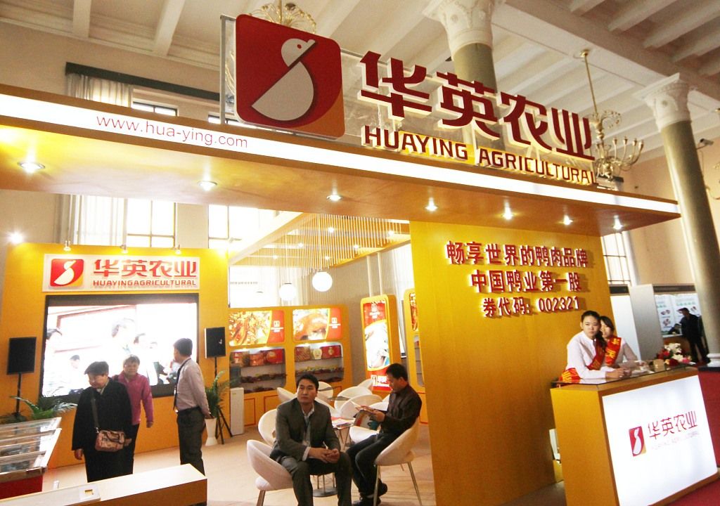 受疫情等影响 华英农业1月鸭苗销售收入同比降