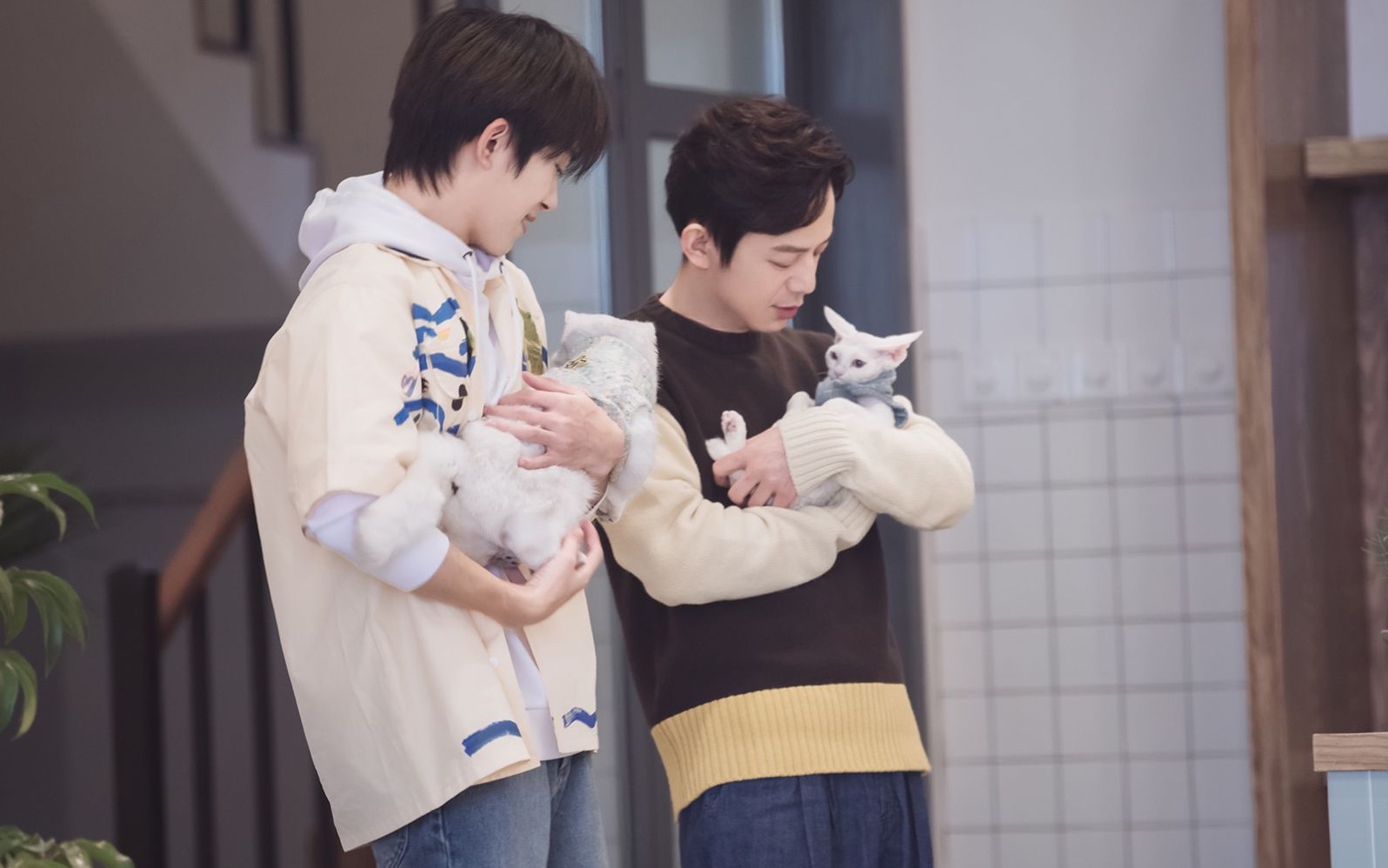 何炅谢娜易烊千玺创办广播站,《朋友请听好》里当主播