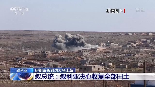 叙总统:叙利亚决心收复全部国土