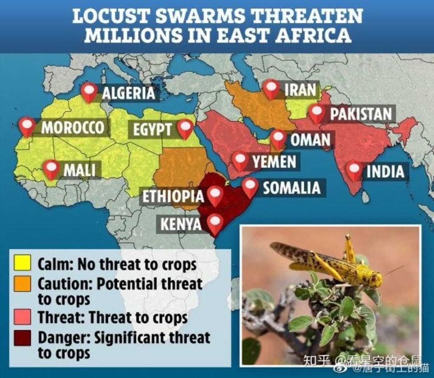 70年不遇的大蝗灾会进入中国吗？