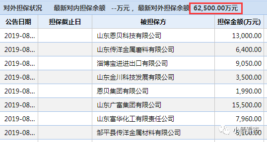 对外担保情况