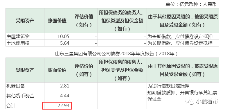 受限资产情况