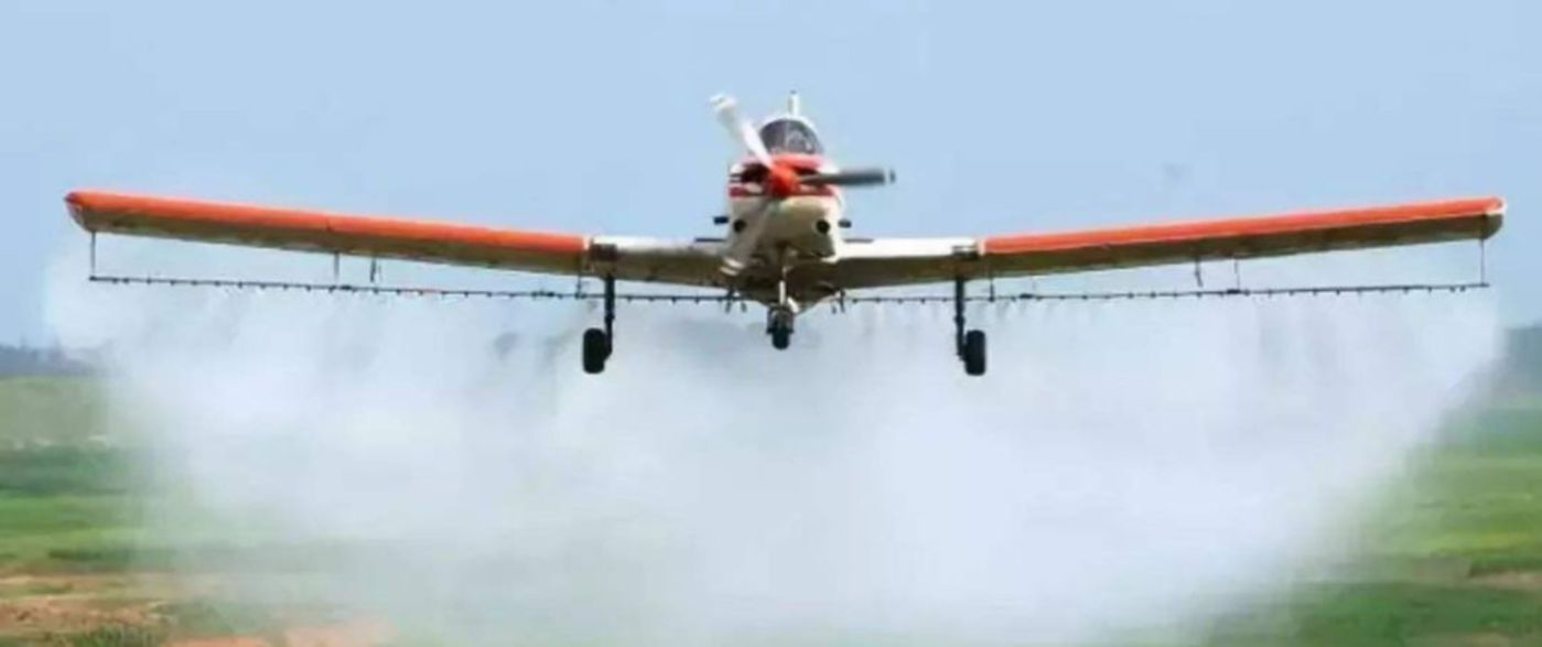 70年不遇的大蝗灾会进入中国吗？