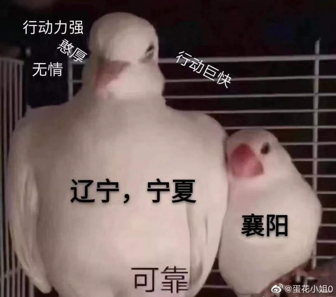 1581897735479940.png?x-oss-process=style/w10 同舟共济,共克难关!辽宁加油!襄阳加油!