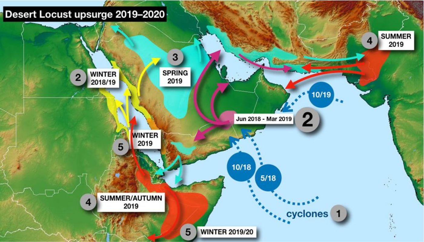 70年不遇的大蝗灾会进入中国吗？