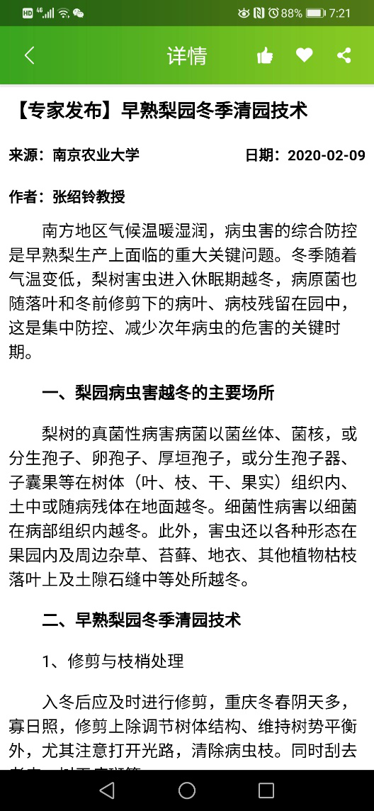 如何保证“米袋子”充足？多位专家远程会诊春