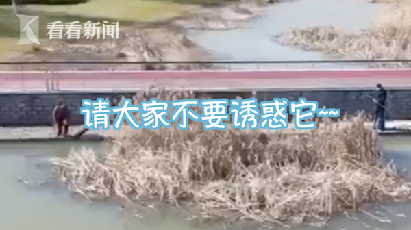 小姐姐硬核喊话劝退野钓：小鱼隔离啦不要诱惑