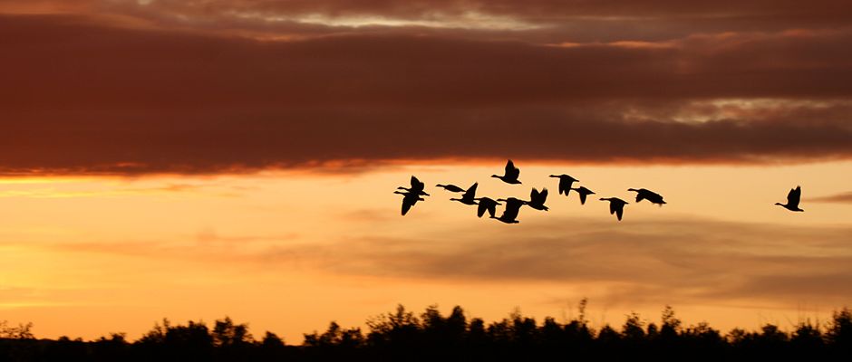 复工第一周 哪座城市的防控压力最大？