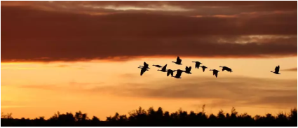 复工第一周 哪座城市的防控压力最大？