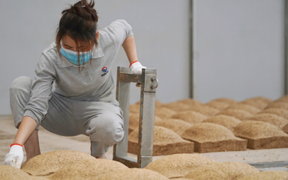 茅台复工复产 李保芳：最大限度发挥产能给贵州