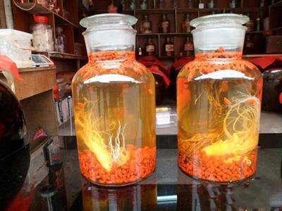 每天晚上都喝二两枸杞酒,对身体有没有好处?营养师告诉你答案