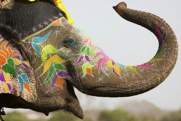 美国智库：印度已超过英法 成为世界第五大经济