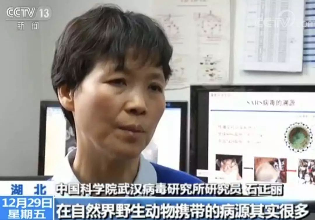 石正丽 图片来源:央视截图