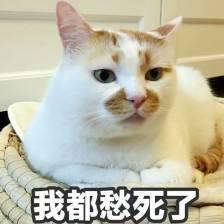 疫情当前,这些药,宝宝禁用!最安全的护理和用药方法在这里