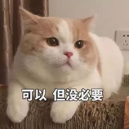 铁林终于下线了,张鲁一演得可真绝!