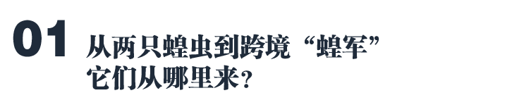 蝗灾泛滥,灾难的全球化时代来临? 蝗灾泛滥,灾难的全球化时代来临?