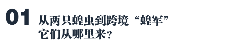 蝗灾泛滥，灾难的全球化时代来临？