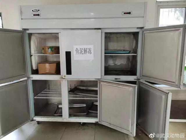 武汉动物园断粮告急