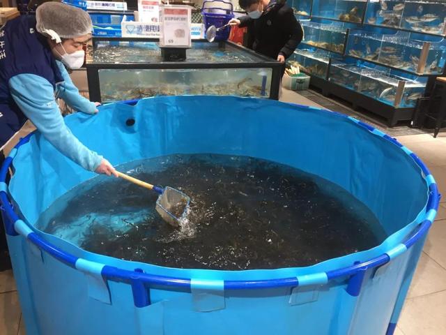 武汉动物园断粮告急