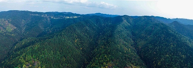 山西省林业和草原局供图