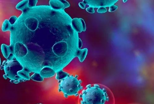新冠病毒怎么产生的?美国研究发现可追溯至200