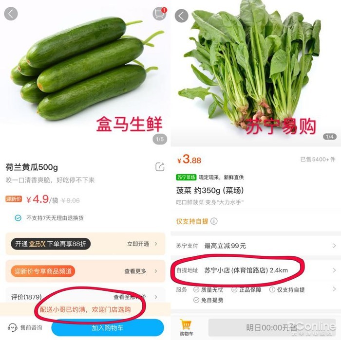 9家线上生鲜平台评测 哪个买菜最划算?