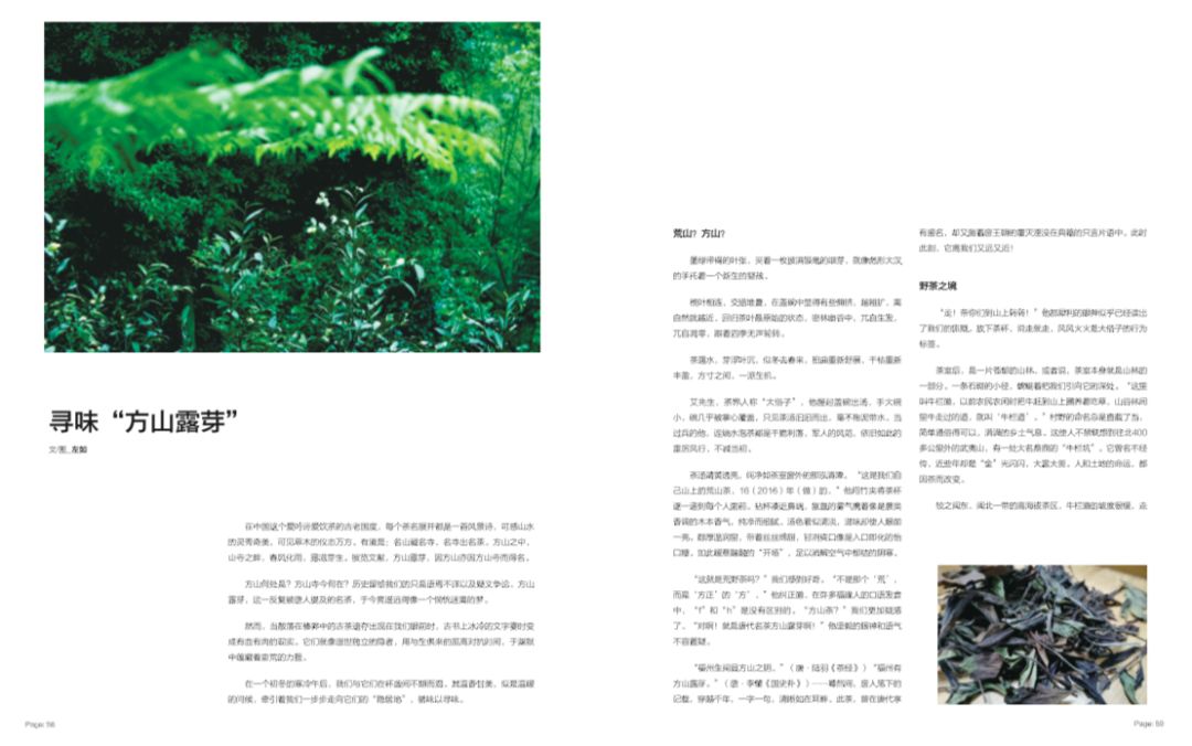 新刊 | 小小茶盏里,有一个大大的江湖