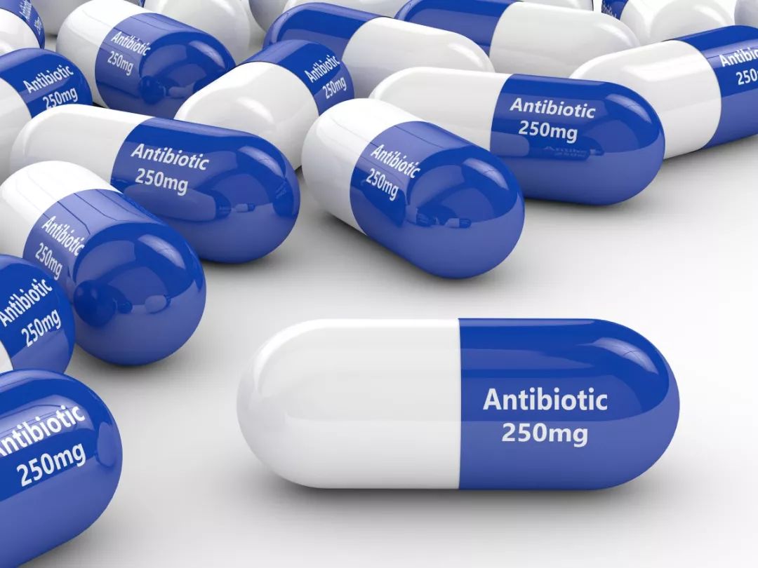 几张图，让你了解抗生素