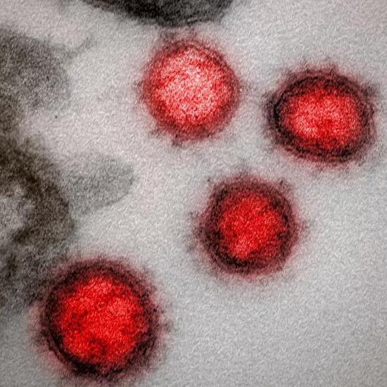 新冠病毒会和人类长期共存吗？看专家解读