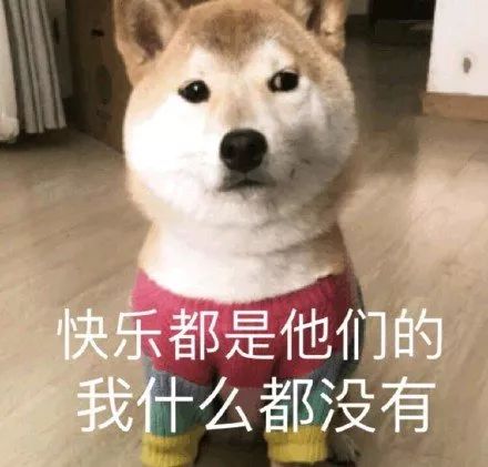陈韵如那个死样子