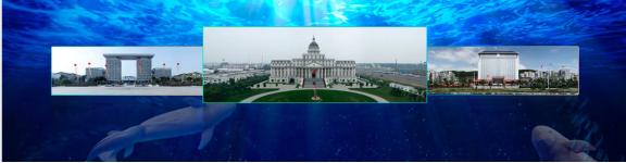 DIGIX TALK白小刺:海洋保育是一种公民责任的回归
