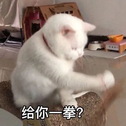 陈韵如那个死样子