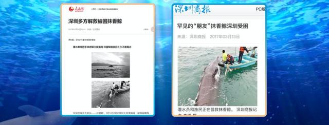 DIGIX TALK白小刺:海洋保育是一种公民责任的回归