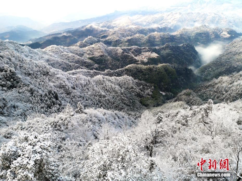 实拍四川古蔺虎头山雪景银装素裹 美不胜收(图)