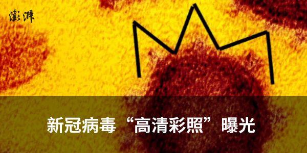 武汉志愿者将蔬菜送亲戚?官方回应