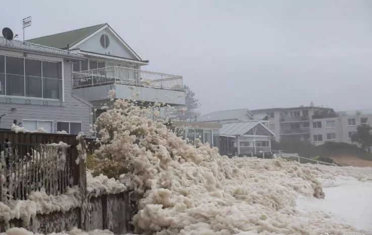 武汉突降暴雪,国外病毒肆虐……有一个真相,终于藏不住了