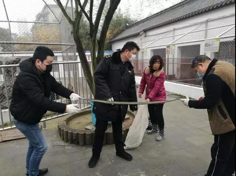 法律人员正在清点现场发明的野生动物