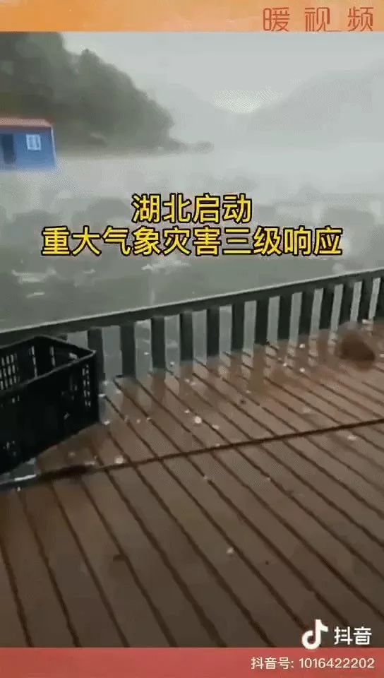 武汉突降暴雪,国外病毒肆虐……有一个真相,终于藏不住了