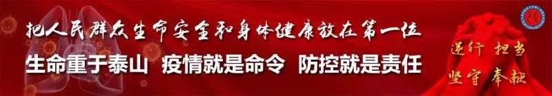 《新闻1+1》白岩松对话张伯礼:解读疫情应对中的中医药救治方案