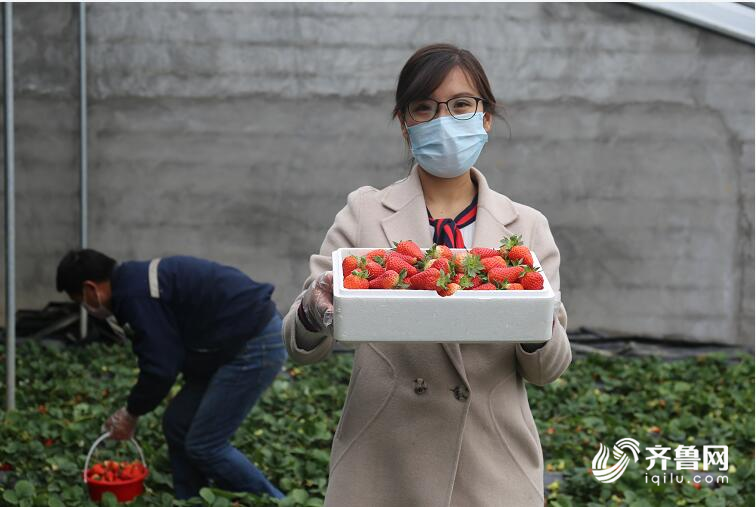 战疫情忙春耕!临沂市十字路街道各处农田春意浓