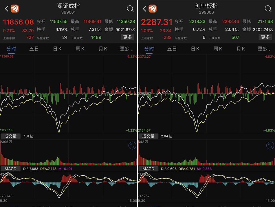 寒武纪股票是科技板块股票吗 2bd7-ipzreiw0812229.jpg