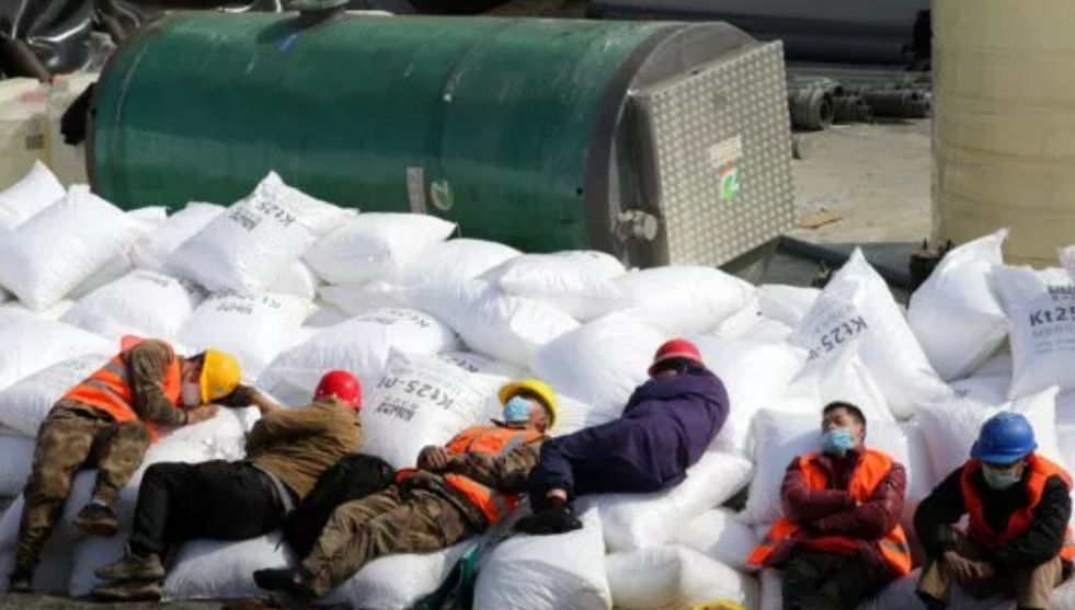 武汉突降暴雪,国外病毒肆虐……有一个真相,终于藏不住了