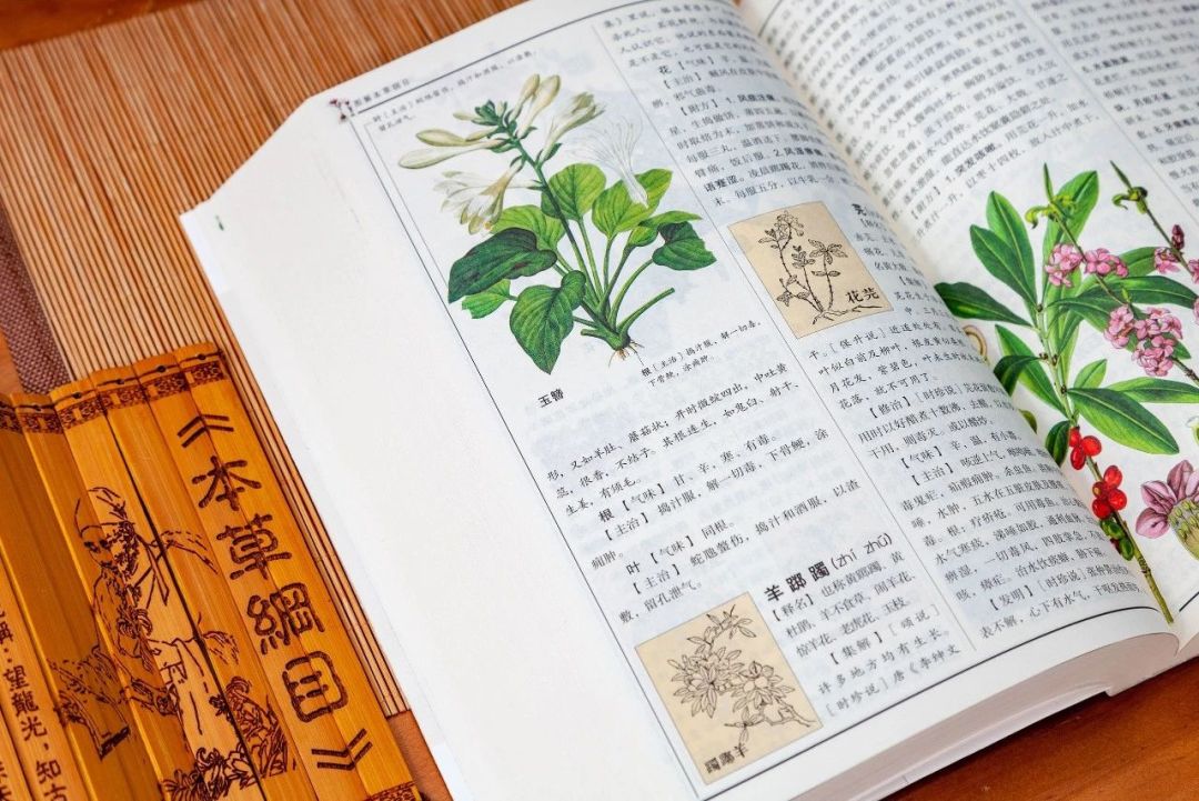 野味不能吃:《本草纲目》早有记载