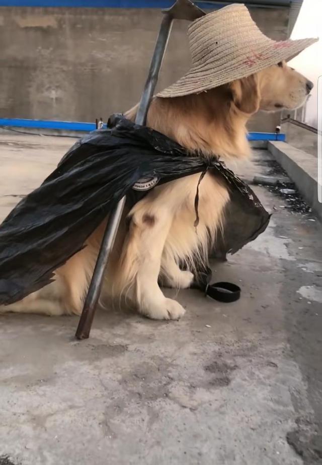 仗剑天涯