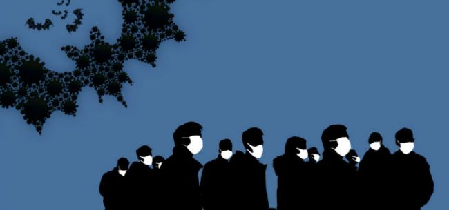 全面禁食野生动物不应是权宜之策